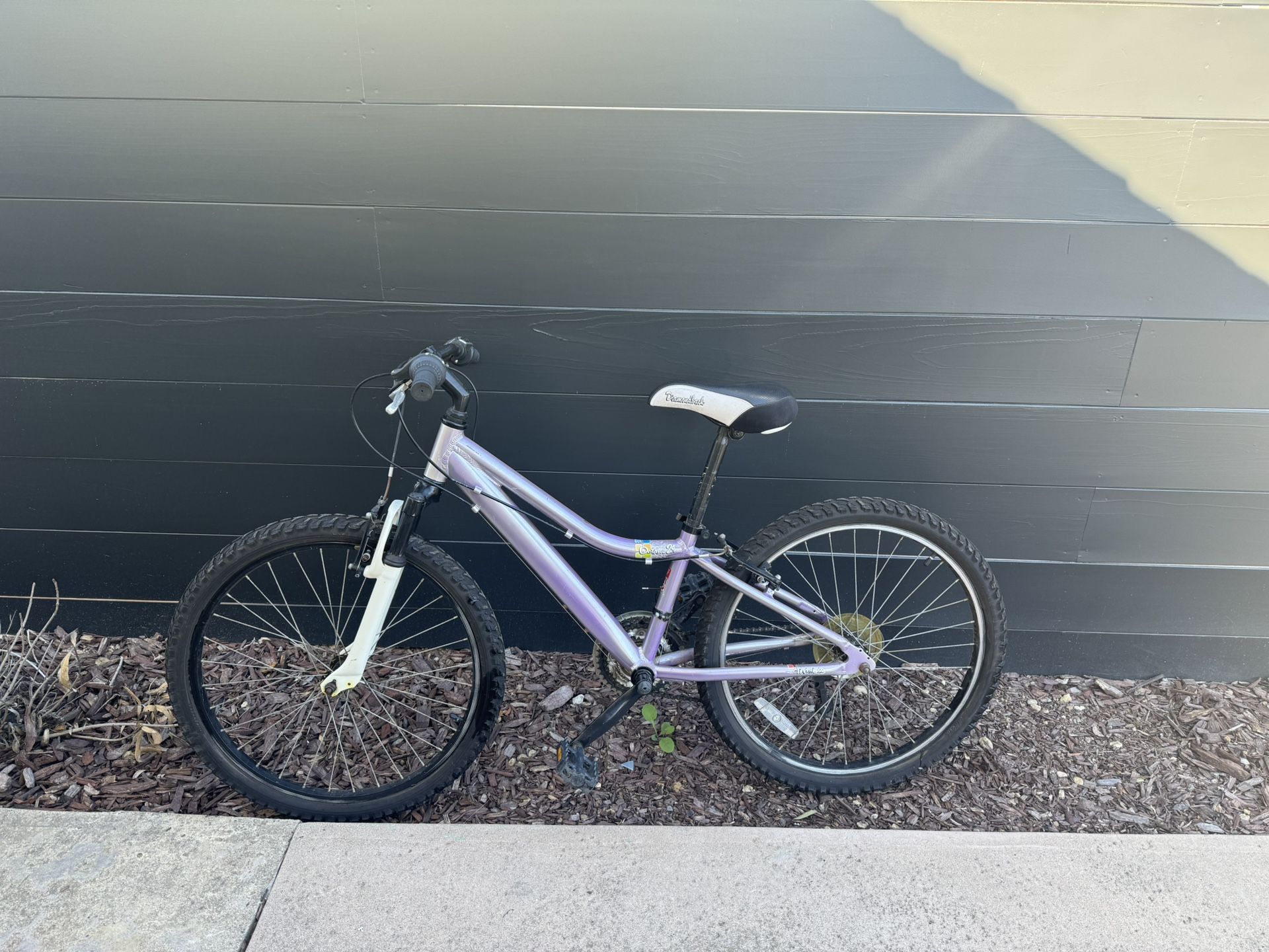 Girl’s Purple Bike 24 Inch