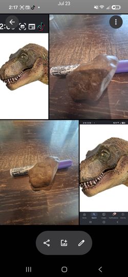 Dino head fossil