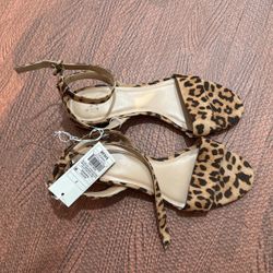 Woman Shoes 