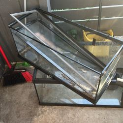 Fish/ Lizard Tank