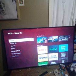 55 Inch TCL Roku TV Has No Problems I Hate To Get Rid Of It But I Have A New Bigger One So I Don't Need It No More