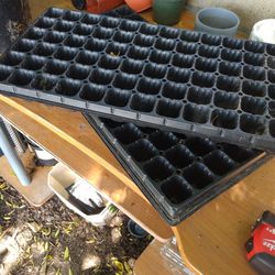 Planting Trays
