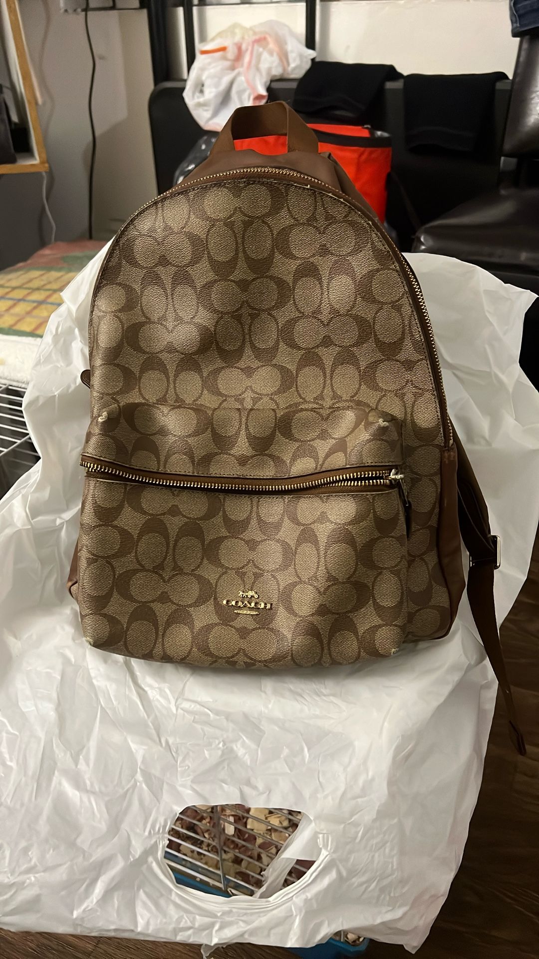 Backpack