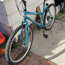 26” Nishiki Bravo 