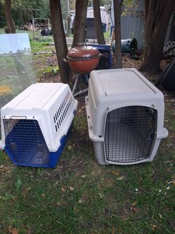 Pet Crates and Travel Kennel