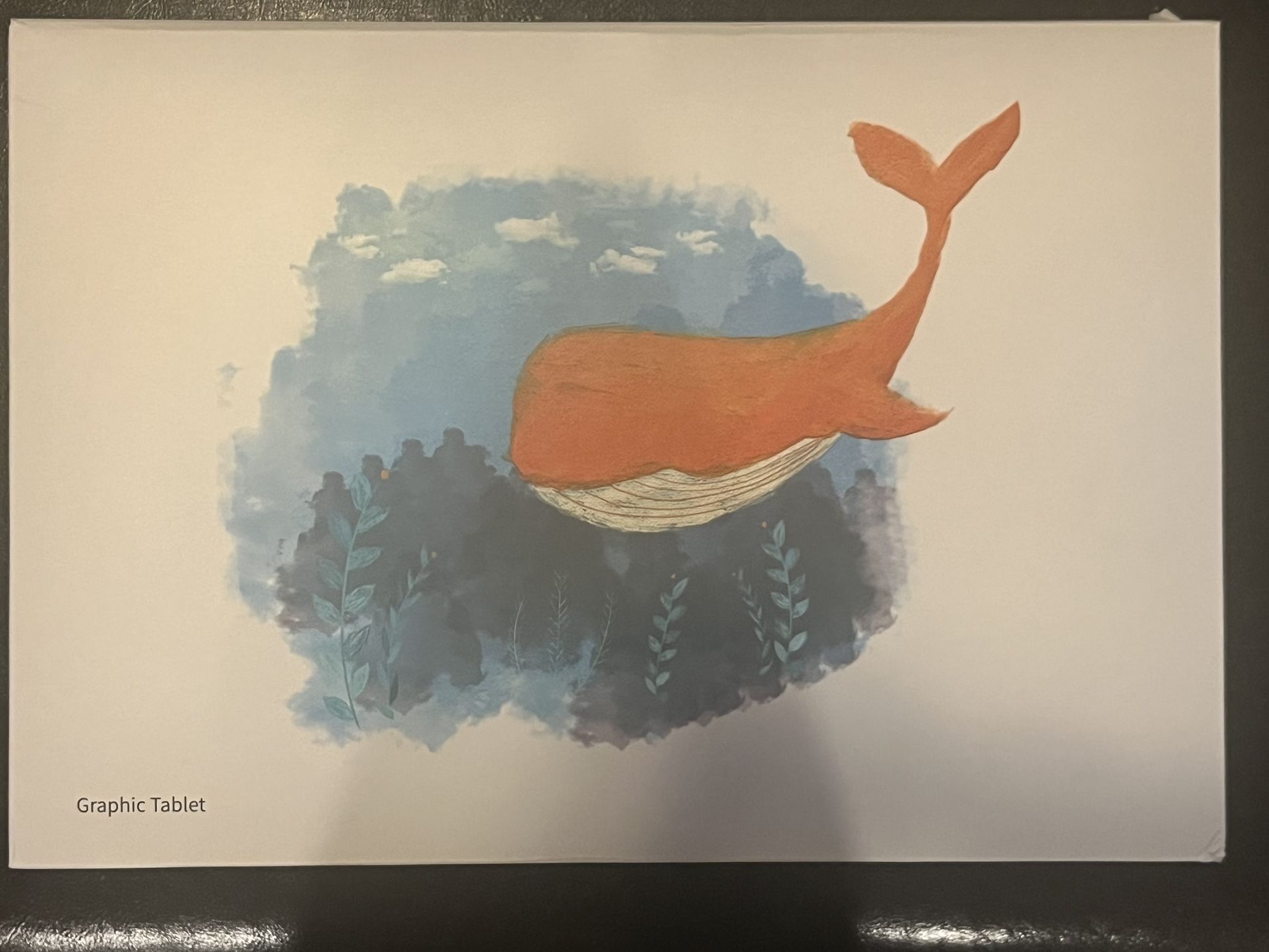 Graphic Art Tablet