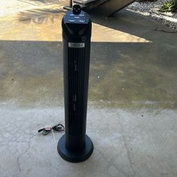 SIERRA FAN (Pacific Beach)