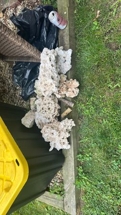 Marco Rock For Reef Tank 