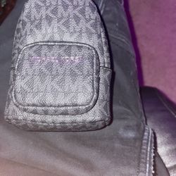 Small Micheal Kors Bag