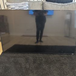 65 Inch Vizio TV with Swivel Mount