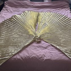 Dressup Golden Wings