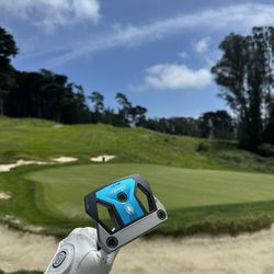 Taylor made Spider Putter 