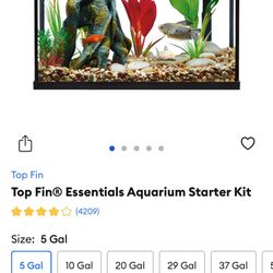 5 Gallon Fish tank 