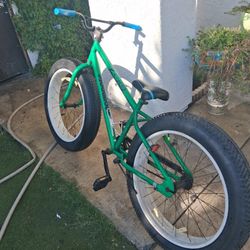 Mongoose Beast