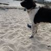 Patti