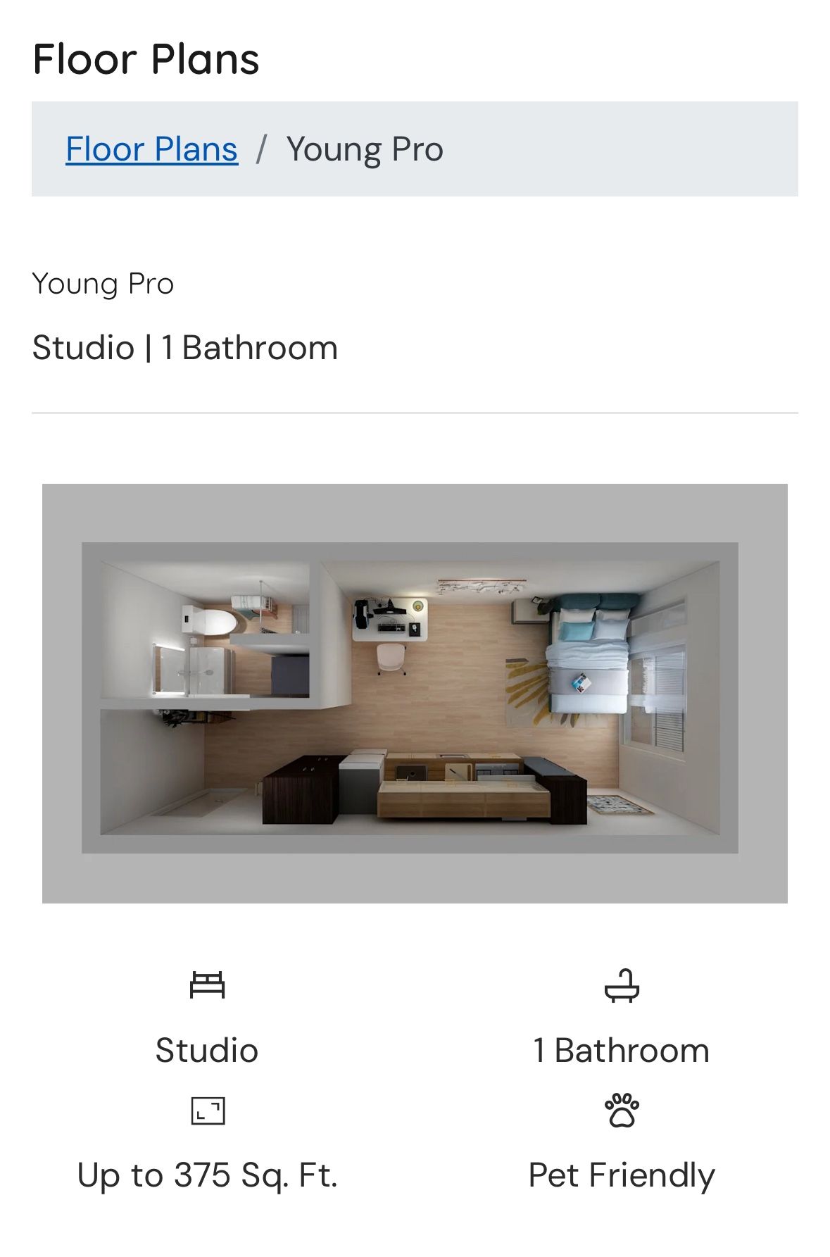 Furnished Studio Sublease Near UWβ Pet Friendly!