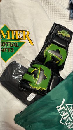 Premier Martial Arts Gi, shin pads, and gloves