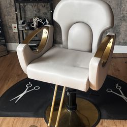 Salon Chair 