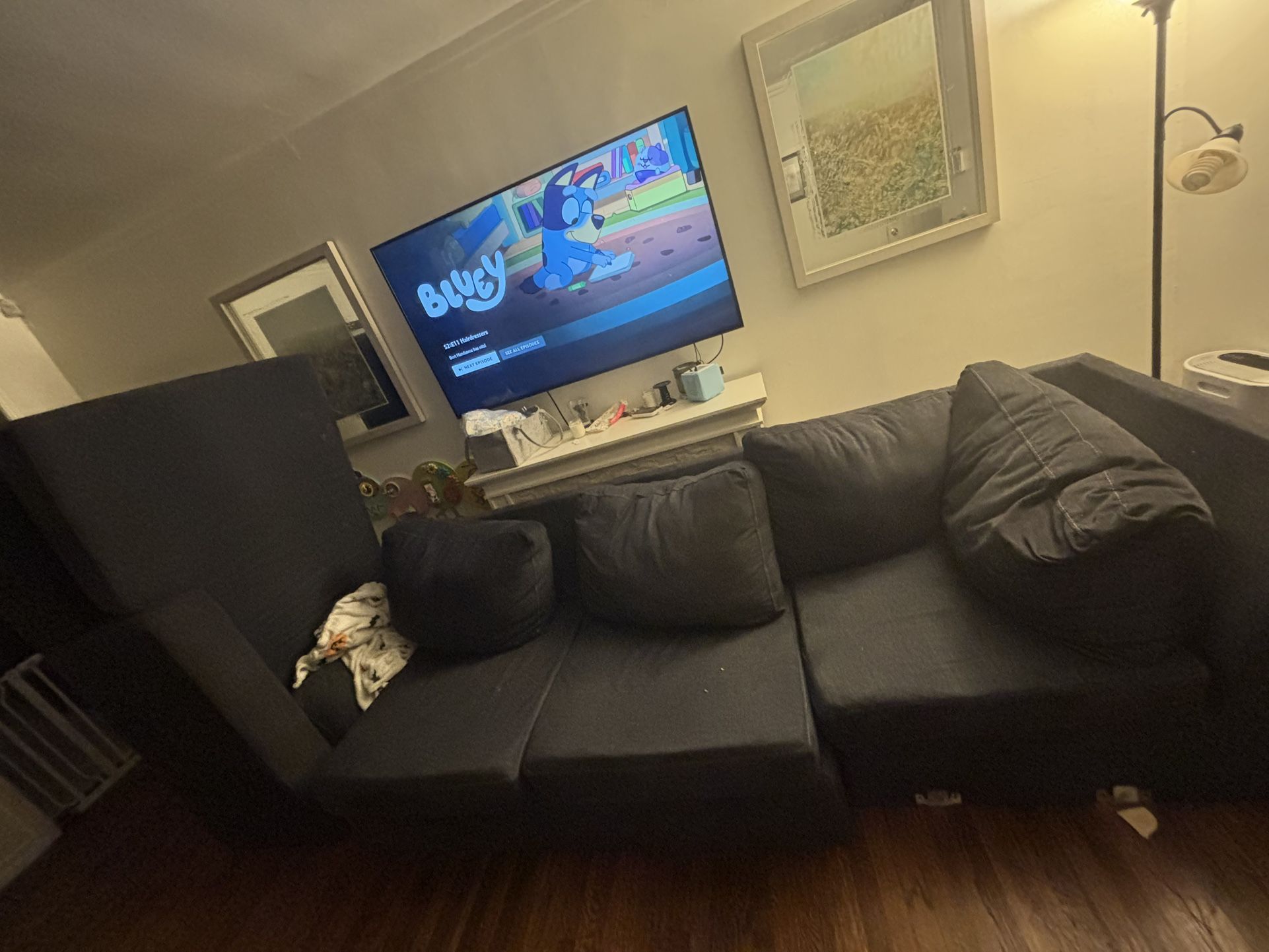 Free Sectional Couch