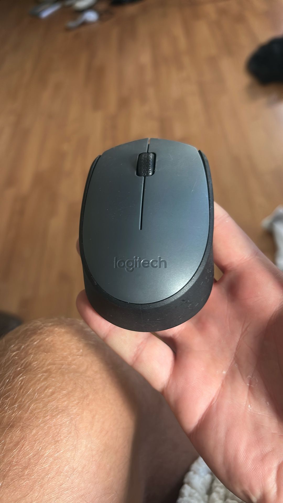 Mouse