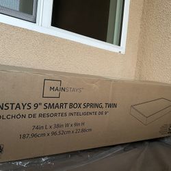 Box Spring ( NEW IN BOX) Twin Size 