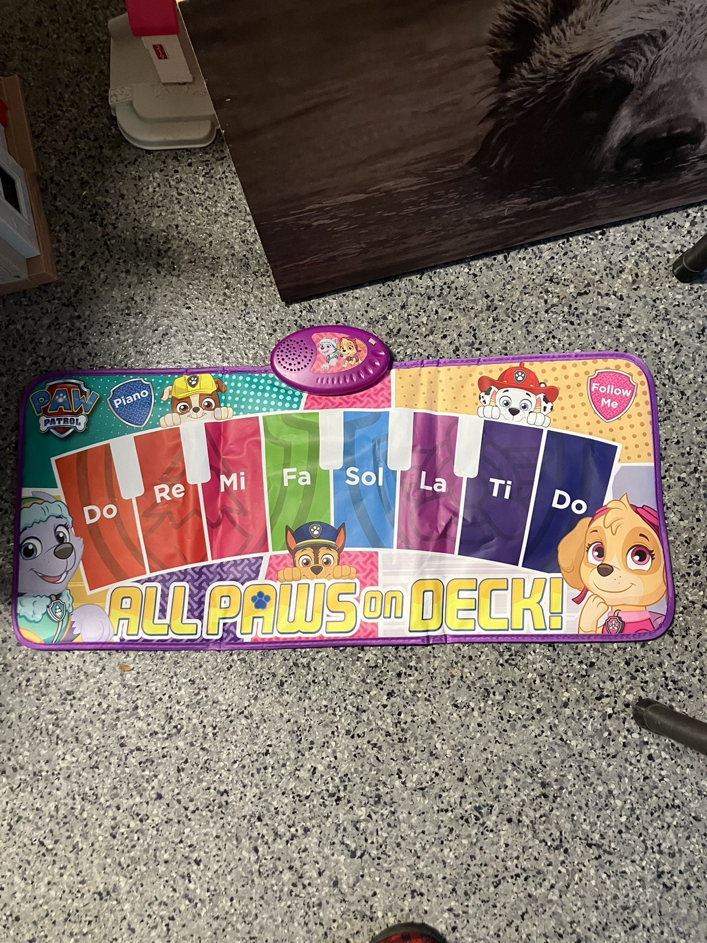 Paw Patrol Dance Mat