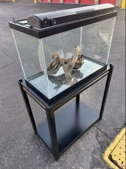 20 gallon aquarium fish tank or reptile terrarium setup with stand, LED lid and driftwood