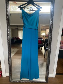 Alice and Olivia jumpsuit