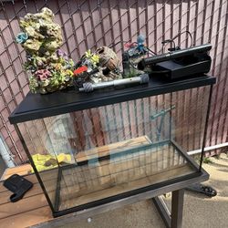 Fish Aquarium Tank
