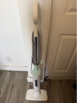 Steam cleaner: limpiador a vapor
