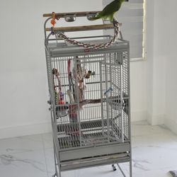 Parrot Bird Cage Jaula De Cotorra 