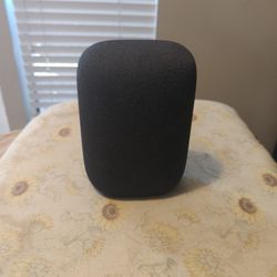 Google Nest Audio Charcoal Wireless Bluetooth Wi-Fi Smart Speaker with assistant