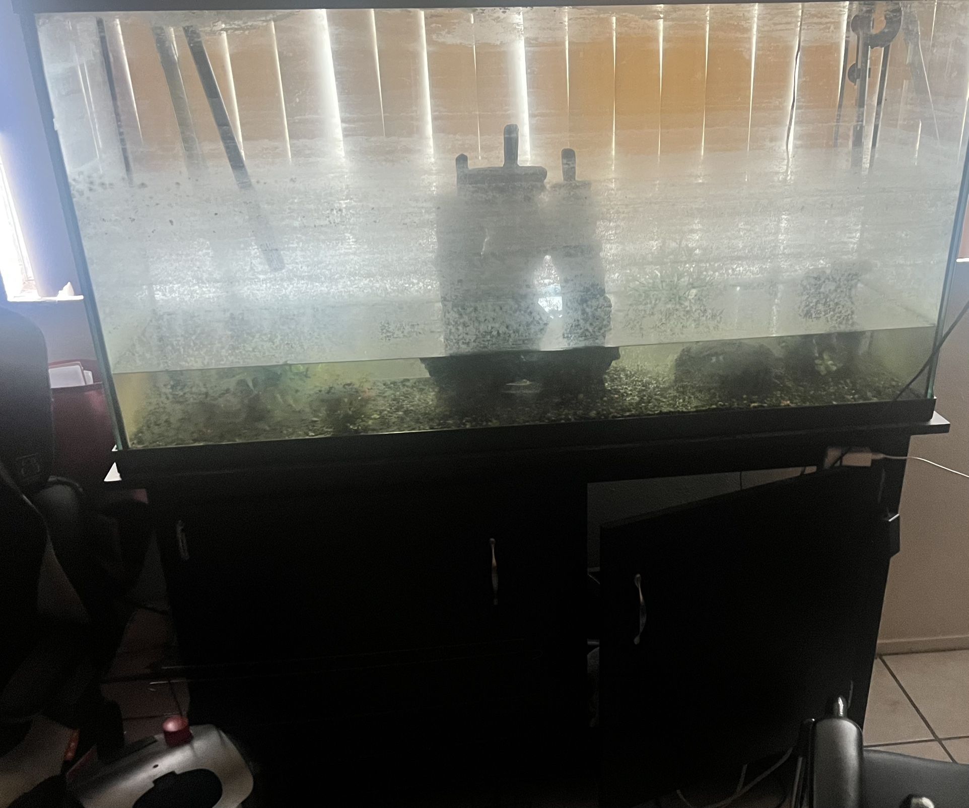 Fish Tank