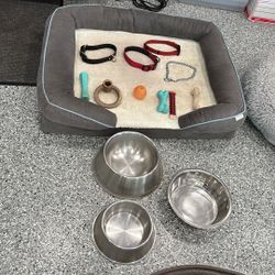 Dog Beds, Collars, as Bowls