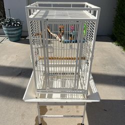 Birdcage - Cockatiel/Small Parrot 