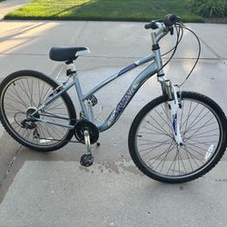 Girls Schwinn Badger Bike 24” Tires