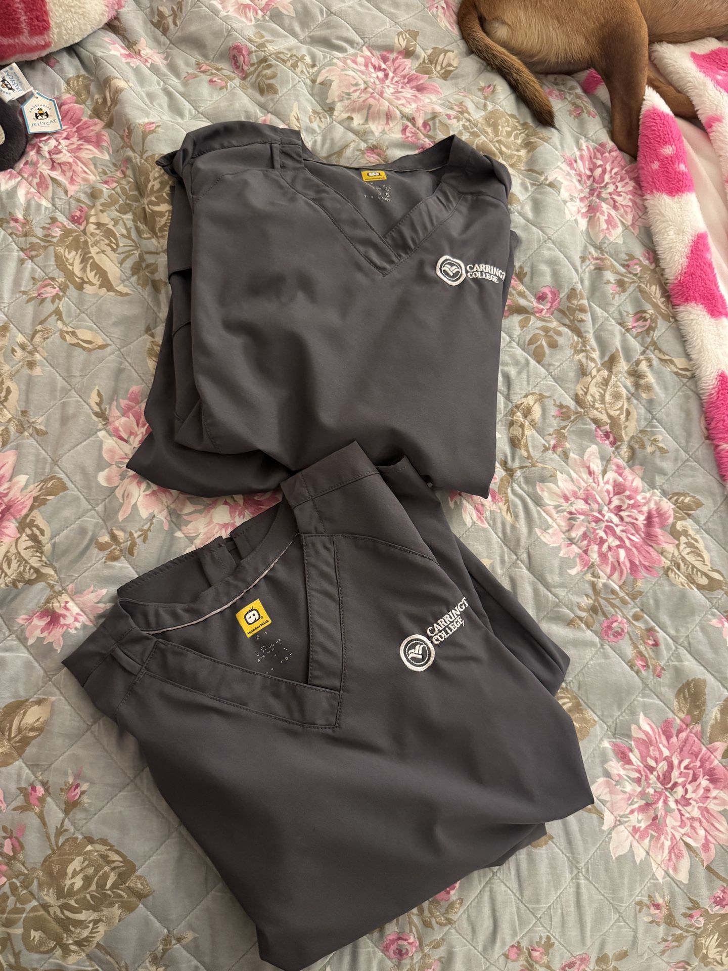 Carrington Scrubs