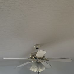 Multiple Fans/Chandelier For Sale -  