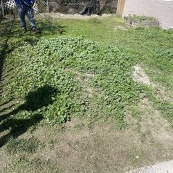 Jardinero 