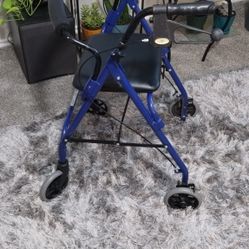  Walker and Sitter Roller