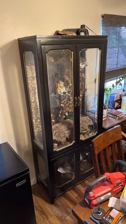 Cabinet (Lizard Enclosure)