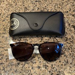 Rayban Sunglasses Erika Classic 