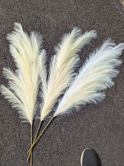 Dried Pampas Grass Stems Bundle