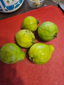 Guyabas/Guavas $2.50/lbs Lindsay CA