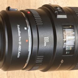 Canon EF 100mm f/2.8 Macro USM + EF-NEX Adapter