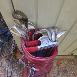 Ladies Golf Starter Set, Ladies Cobra 11 Irons.