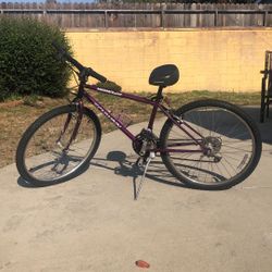 Schwinn Bike 