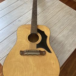 Vintage 12 String