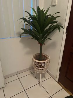 Artificial Plant with Stand