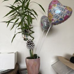 Pot With Green Stuff , Mothers Day Ballons